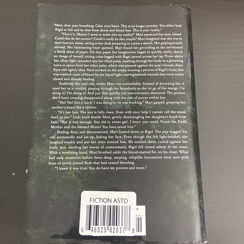 Moon Chosen: Tales of a New World Fictional Book - Picture 7 of 7